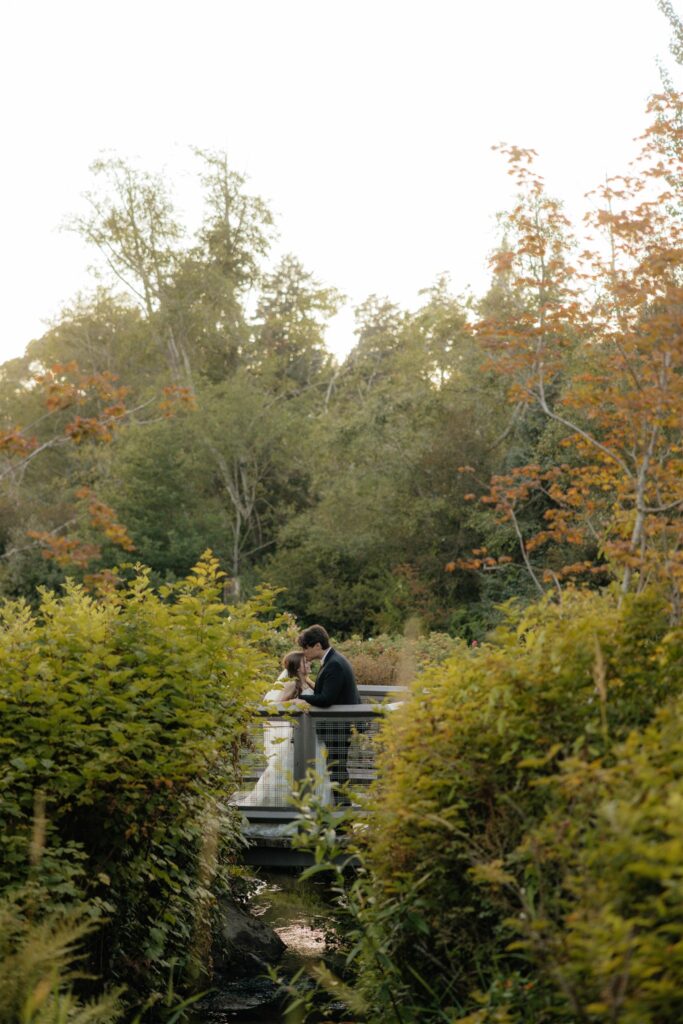 cute portrait of the newly married couple