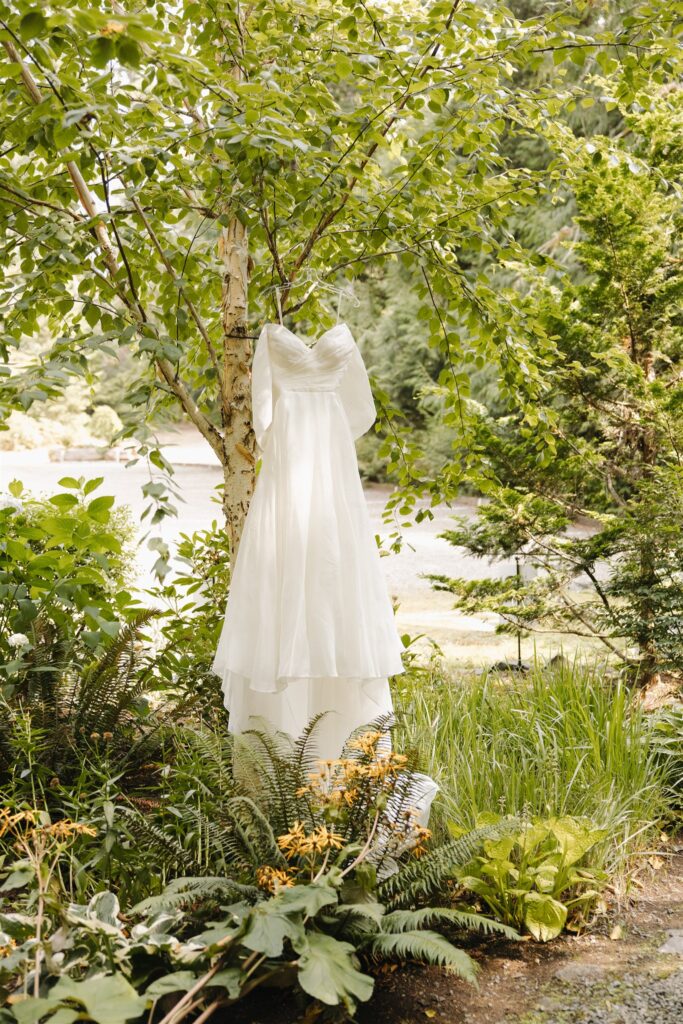 stunning picture of the wedding dress