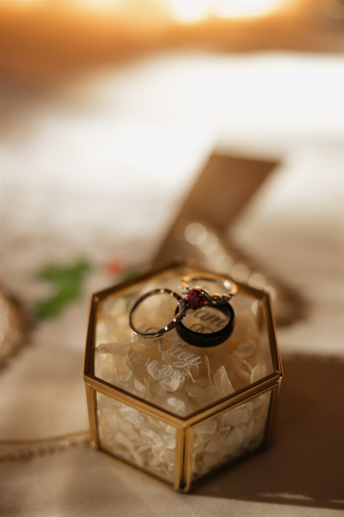 Stunning close-up shot of the wedding rings