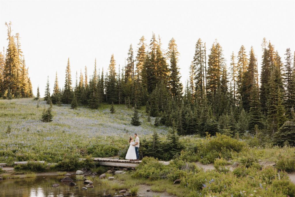 couple at their dream photoshoot during golden hour