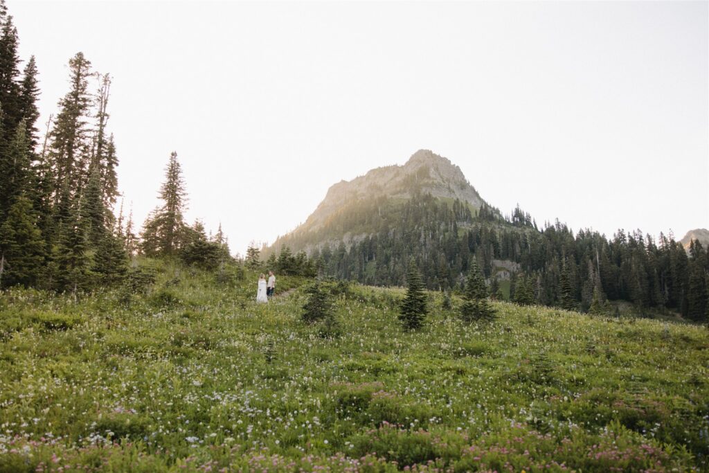 beautiful couple portraits in mt. rainier
