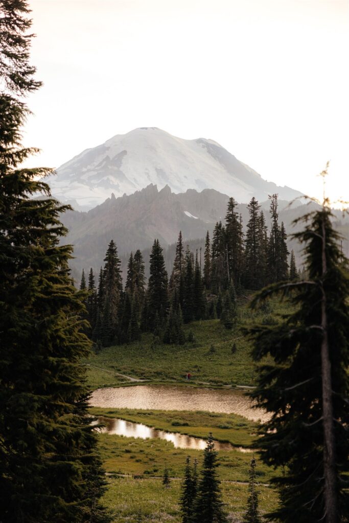Mount Rainier Engagement Photos at Tipsoo Lake During Wildflower Season