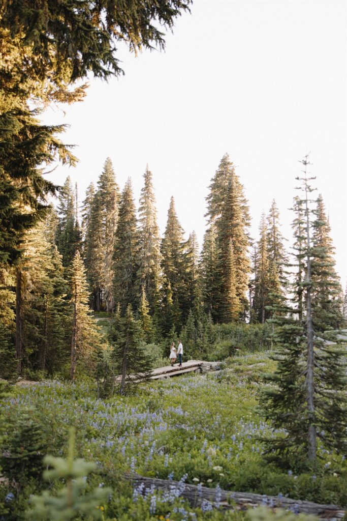 Mount Rainier Engagement Photos at Tipsoo Lake During Wildflower Season
