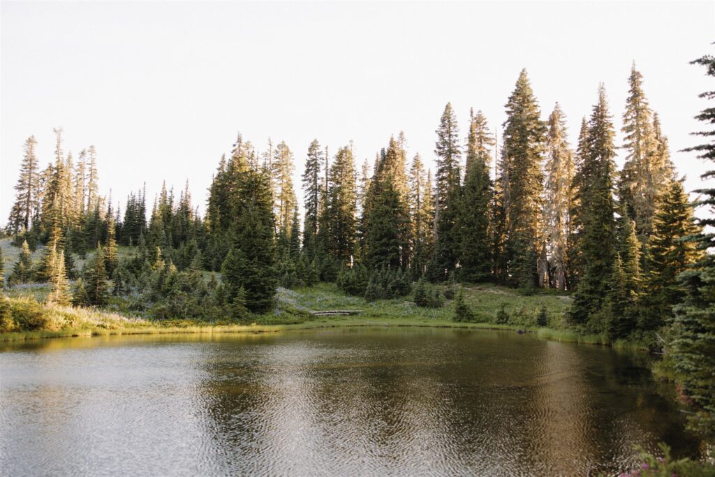 Mount Rainier Engagement Photos at Tipsoo Lake During Wildflower Season