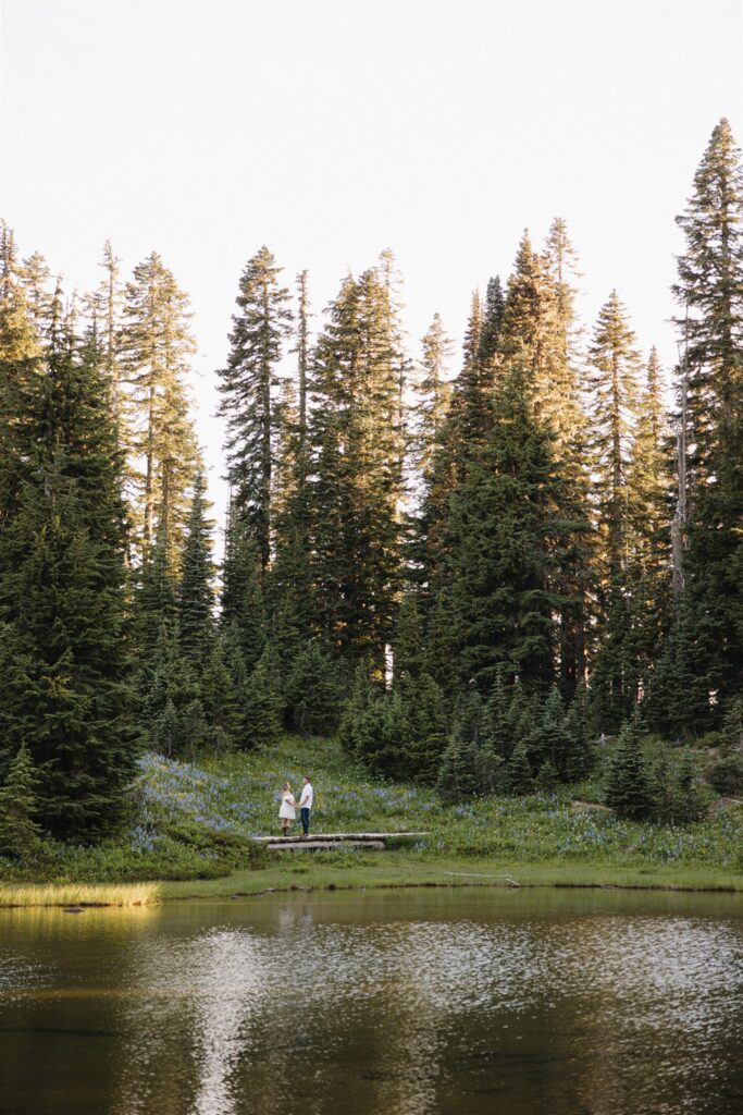 Mount Rainier Engagement Photos at Tipsoo Lake During Wildflower Season