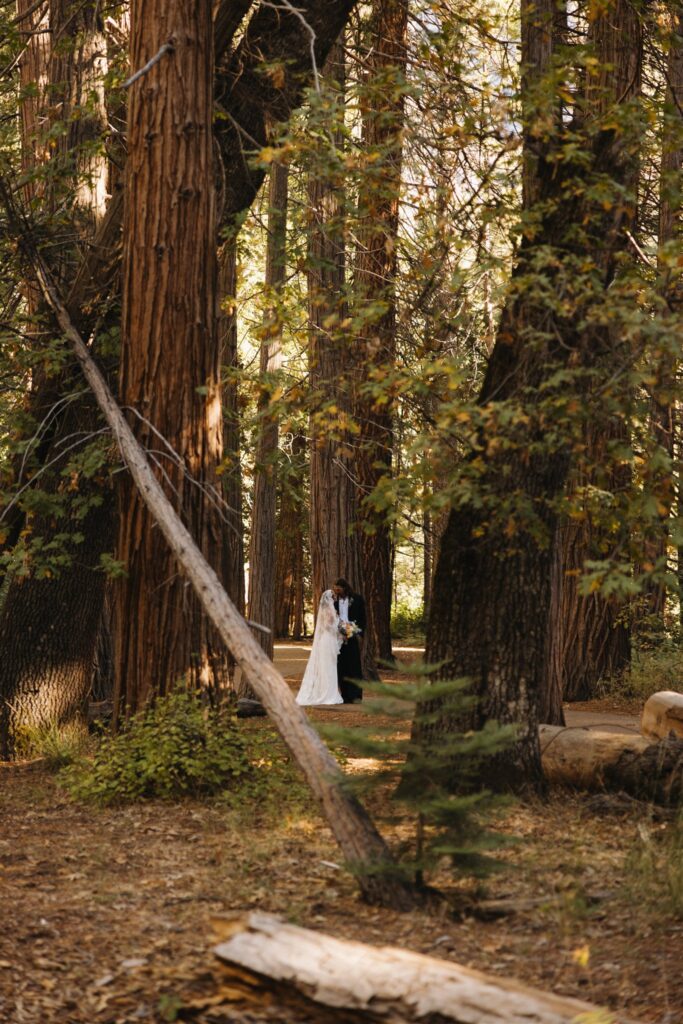 The Best Yosemite Elopement Photo Locations for Unreal Wedding Portraits