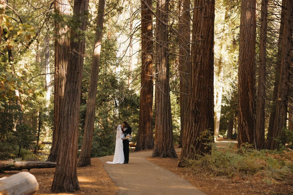 The Best Yosemite Elopement Photo Locations for Unreal Wedding Portraits