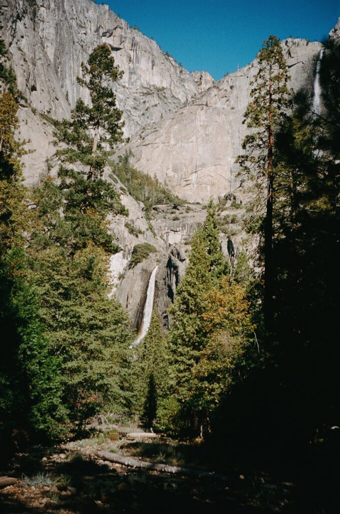 The Best Yosemite Elopement Photo Locations for Unreal Wedding Portraits