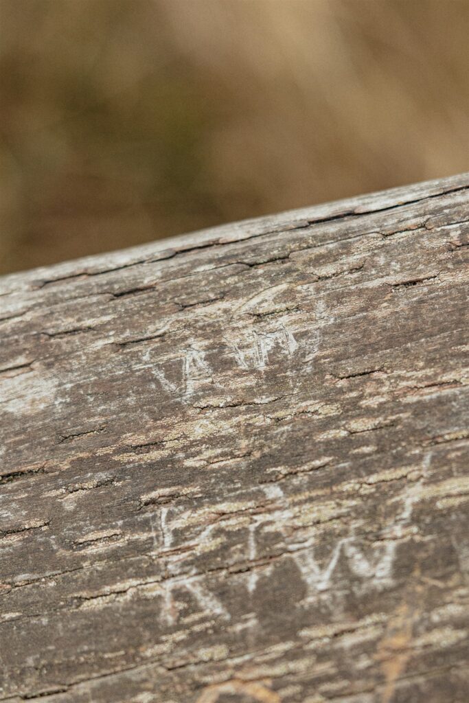 Moody Washington Coast Couple Photos at Cohassett Beach | Madison & Anthony
