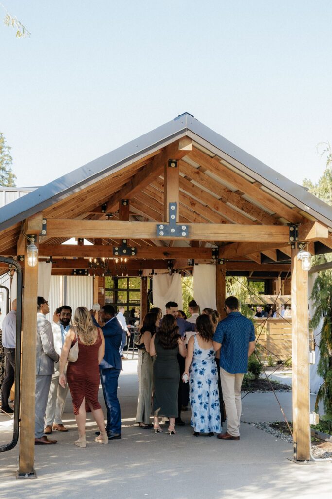 newlyweds with their guests during cocktail hour