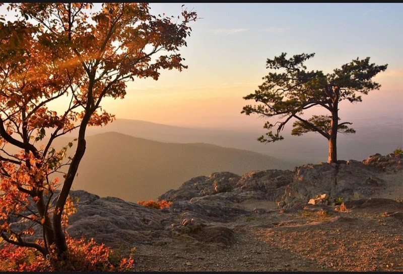 10 Best Engagement Session Locations in Richmond, VA (and Nearby Hidden Gems)