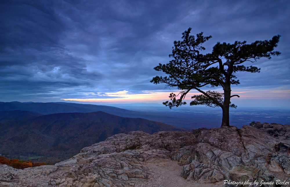 stunning engagement photo location in VA