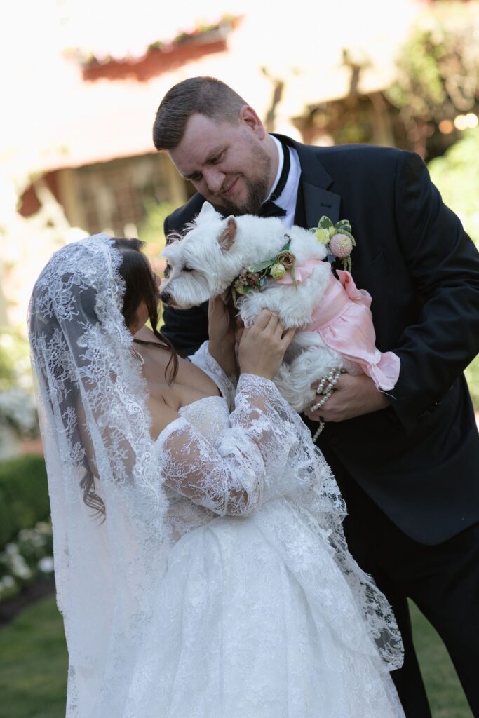 Cute portrait of the bride groom with their dog