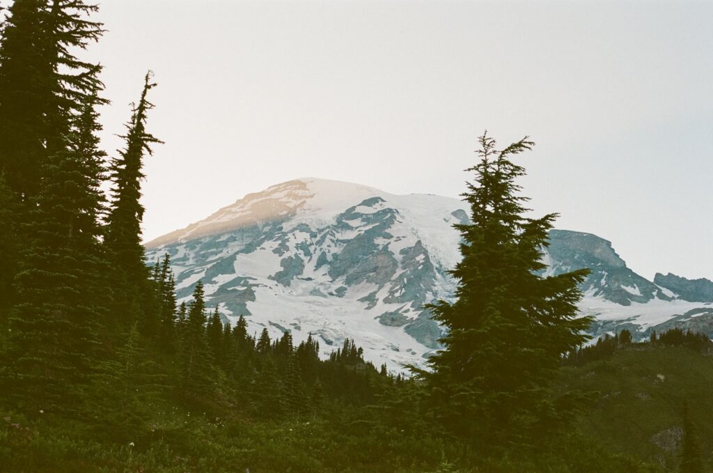 A Romantic Mountain Engagement Session With Nisha & Sunny